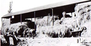Dutch Barn